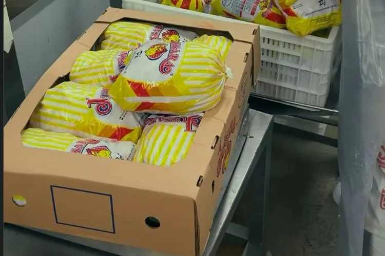 Pacotes amarelos de frango Jussara arrumados em caixa de papelão, prontos para a expedição